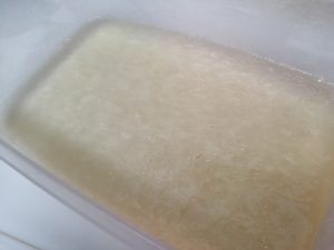 jelly9
